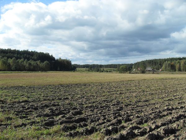 Fragment miejscowości Czarne w gminie Kaliska