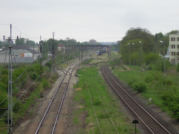 zdjecie Sulechów