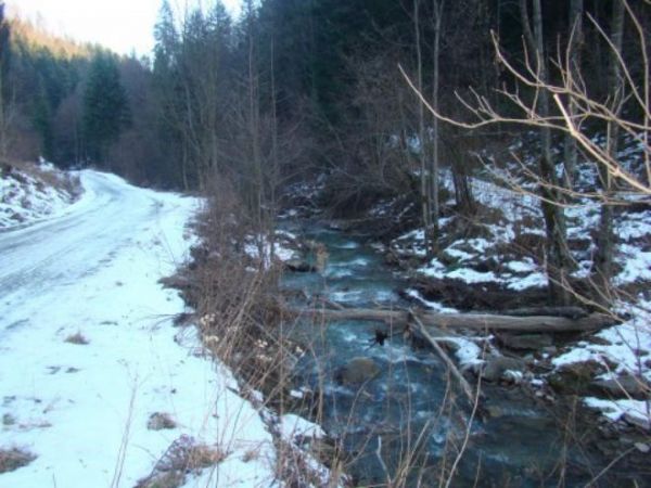 potok Rupnik - co to koło cerkwi swoim źródłem obdarza, obdziela - no bo cudowne ! - do Solinki wpadnie a ta do Zalewu Solińskiego ale w Bukowcu dopiero a w bli