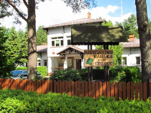 Nadleśnictwo Kaliska