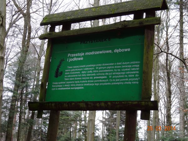 przystanków przy ścieżce jest 15 tu zaś możemy poznać znaczenie określenia "przestoje".