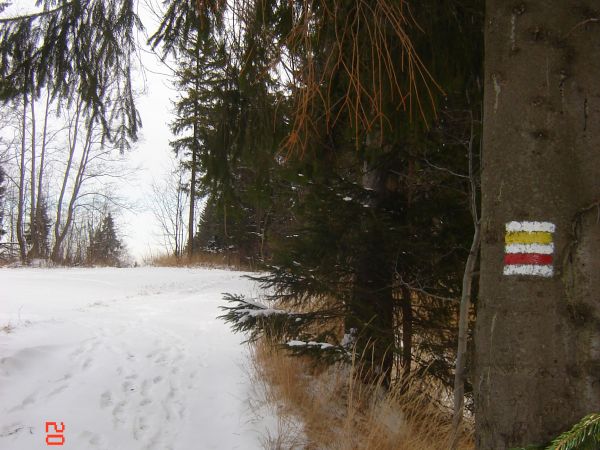 Szlak żółty i czerwony