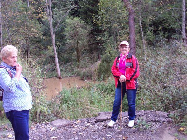 bóbr - na zajmowanych przez siebie terenach podnosi poziom wody, budując tamy, w celu ukrycia pod wodą wejścia do nor lub żeremi oraz ułatwienia transportu drew
