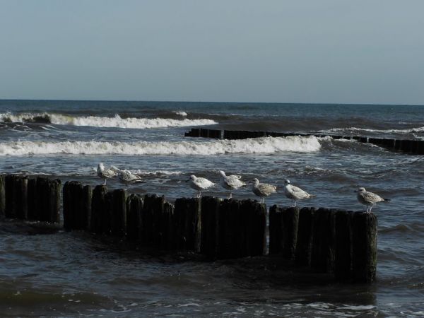 Zakochana jestem w polskim morzu. Tak wygląda w Ustce.