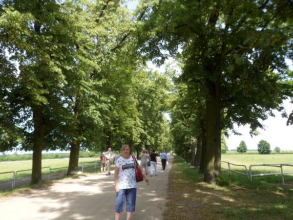 aleja dojazdowa - od drogi głównej łączącej miejscowości z majątku ziemskiego Walewskich - tu do bramy pałacowej.