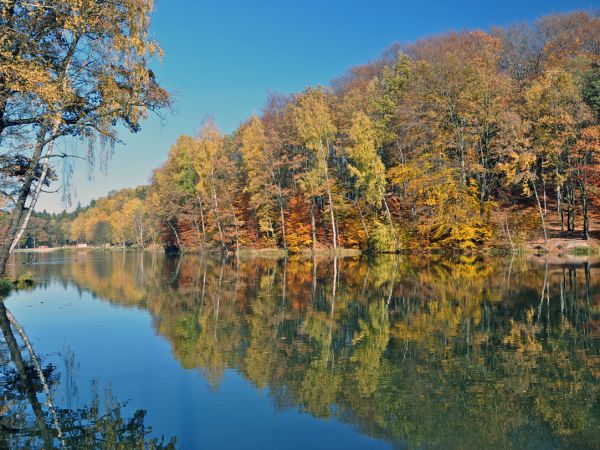zdjecie Wodzisław Śląski