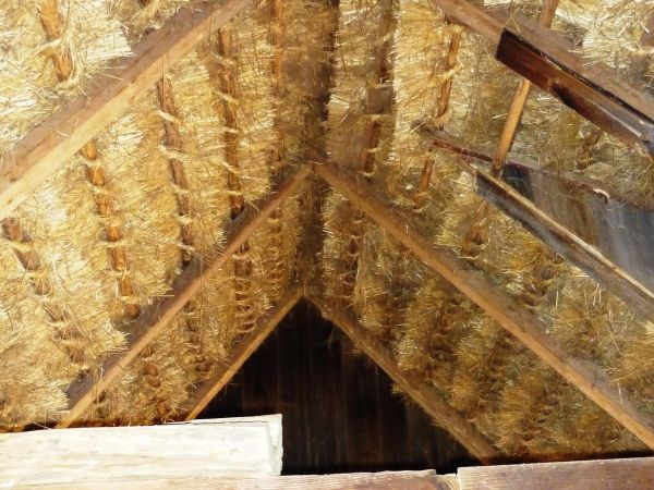 Stara , zabytkowa zagroda chłopska z XIX wieku , we wsi Guciów na Lubelszczyźnie. Obecnie muzeum wsi.