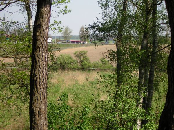 zdjecie Sulechów