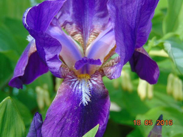 Kto zna prawdziwą nazwę , czeka wysoka nagroda !!!