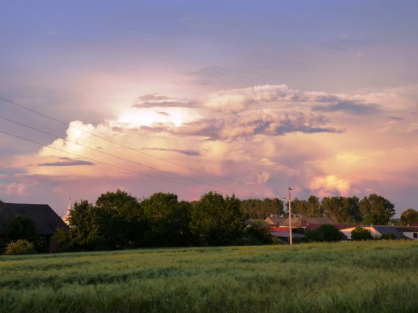 Zdjęcia Zwiastowice