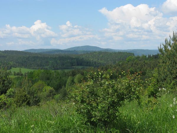 w dolinie potoku Wujski, od północy zamkniętej pasmem Gór Słonych - hen : Hrynia Horb - 640m npm a dalej: m. Siemuszowa /jest galeria - zapraszam/, na górze zdj
