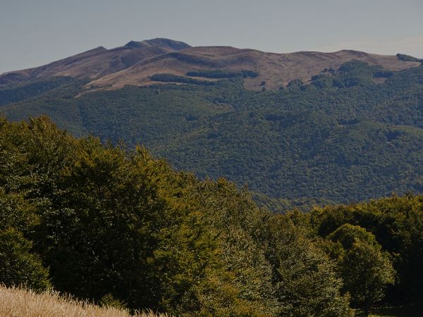 Połonina Caryńska-Ustrzyki Górne