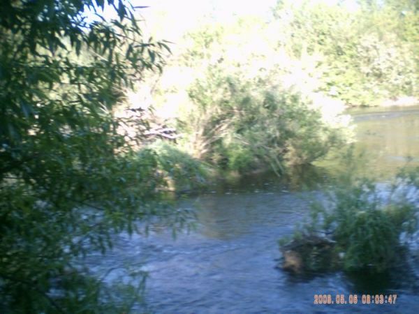 zdjecie Stare Kaliszany