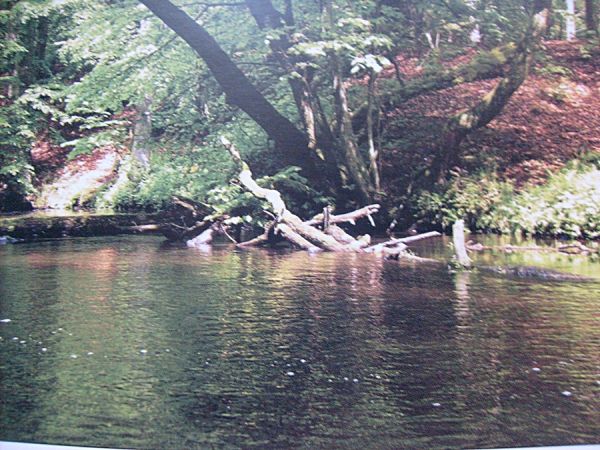 Nasza okolica - rzeka Brda