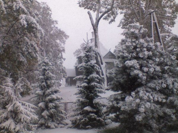 zdjecie Miękisz Stary