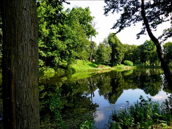 Dwór Szlachecki z końca XIX wieku otoczony parkiem krajobrazowym i stawem. Do 1945 roku należał do rodziny hrabiów Łastowieckich.