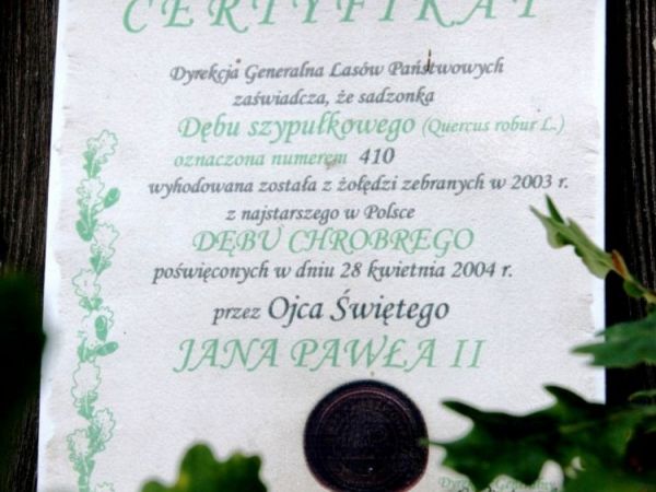 CERTYFIKAT GENERALNEJ DYREKCJI LASÓW PAŃSTWOWYCH