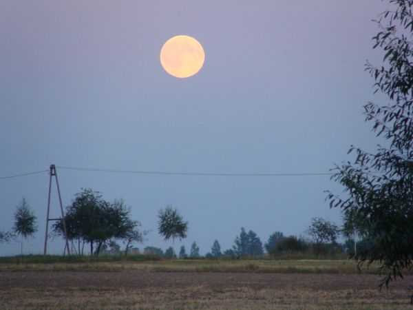 zdjecie Zajączkowice