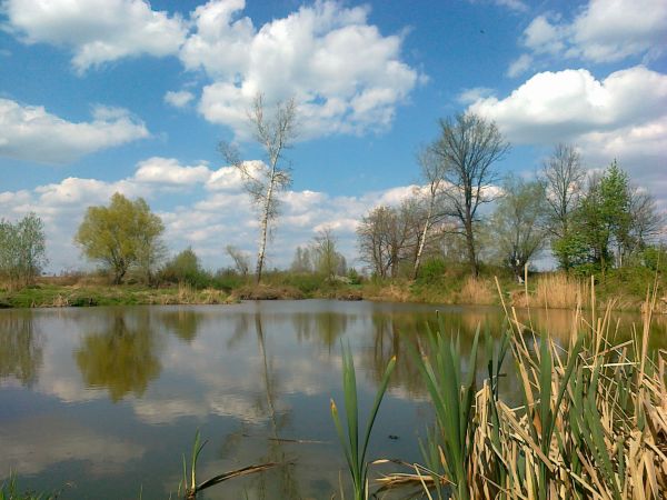 "Wróćmy nad jeziora          F e ,Na wędrowny rejs          F e, Znajdziesz tam cel swojej drogi        F a ,Wśród szumiących drzew"    D H   " śpiewał i grał K