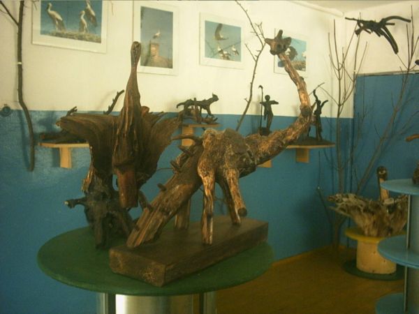 WYSTAWA DZIWY NATURY W SZKOLE PODSTAWOWEJ