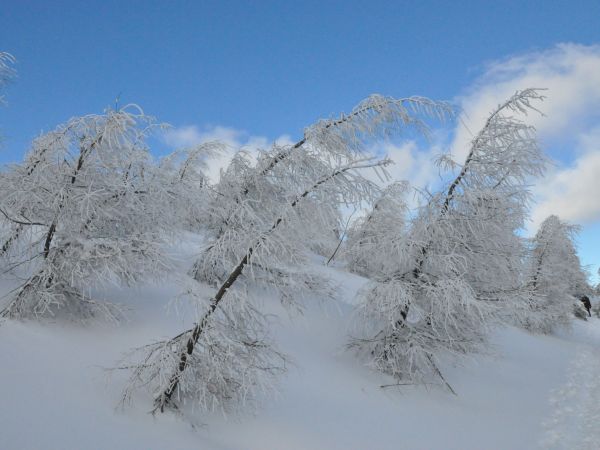 zdjecie Świeradów-Zdrój