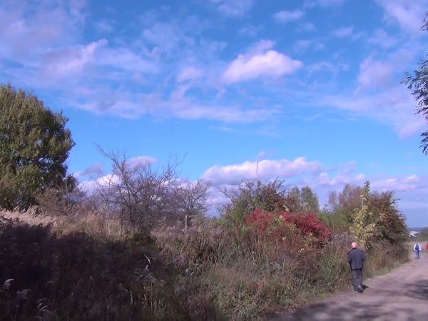 Okolice Głogowa. Wzgórza Dalkowskie