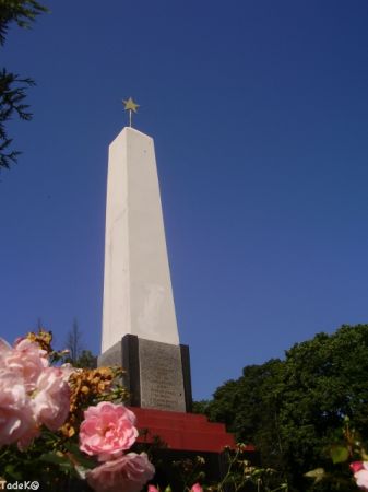 Obelisk na tym cmentarzu.