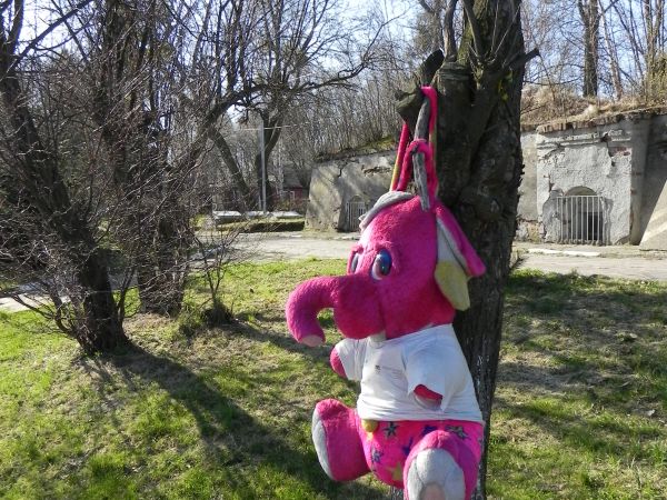 Twierdza Wisloujscie . Kwiecien 2011