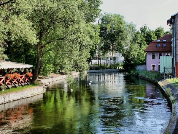 Nad rzeką Młynówką.