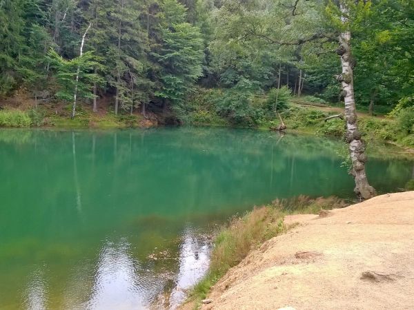 zdjecie Wieściszowice