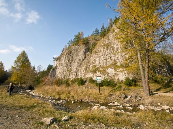 REZERWAT BIAŁA WODA