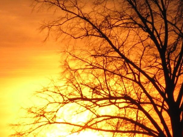 zdjecie Wola Wężykowa