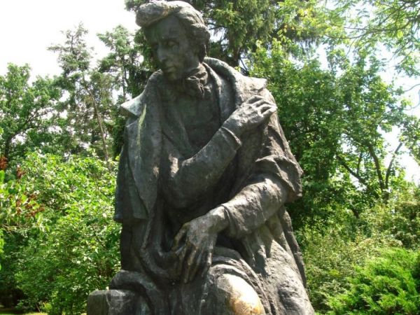 zdjecie Żelazowa Wola