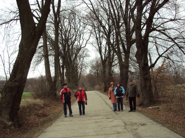 piękna lipowa aleja dojazdowa do folwarku - od strony Sanoka.