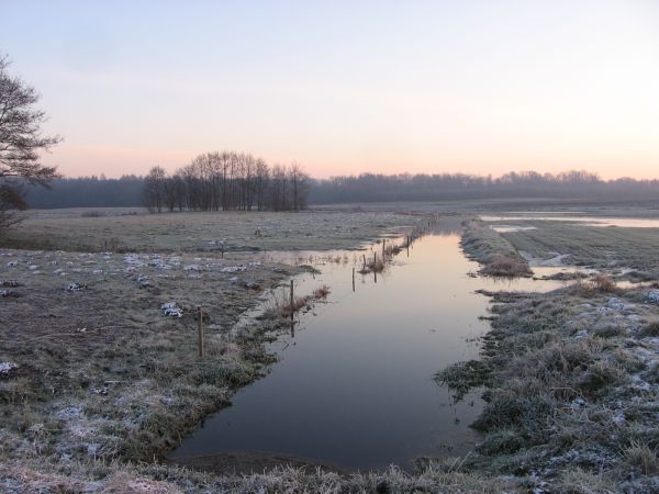 Listopadowy kanał na łąkach w Szynwałdzie.