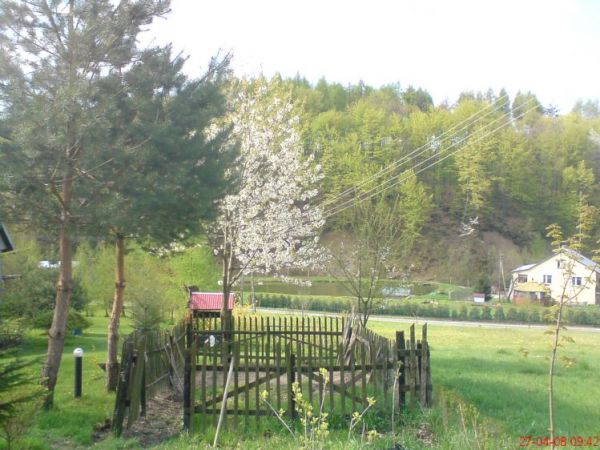 zdjecie Hucisko Jawornickie