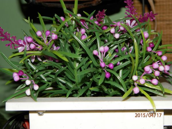 zdjecie Bielawa Górna