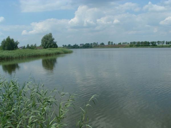 Zalew Brzózki Byczyna