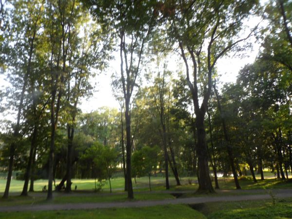 przy pałacu : park ze stawem i wyspą, park urządzony w stylu angielskim, dużo szlachetnych oraz egzotycznych zadrzewień, dzięki niedawnej rewitalizacji odzyskał