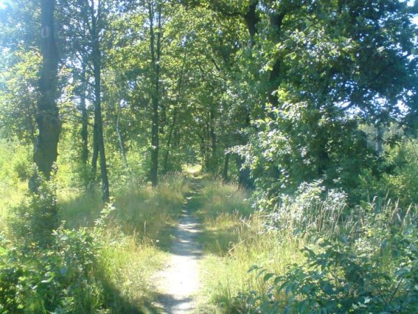 Kto z Jankowii to rozpozna gdzie to jest