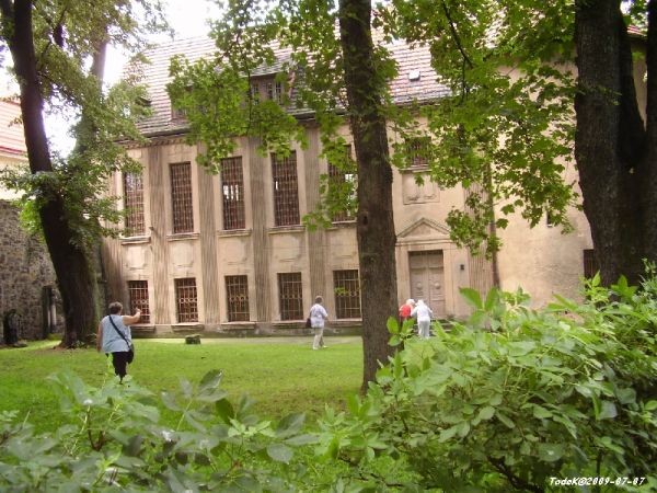 "okazy muzealne" - na zapleczu Muzeum