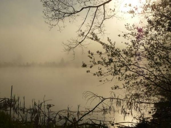 zdjecie Jelenia Góra