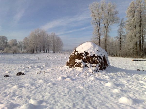 zdjecie Borawskie-Awissa