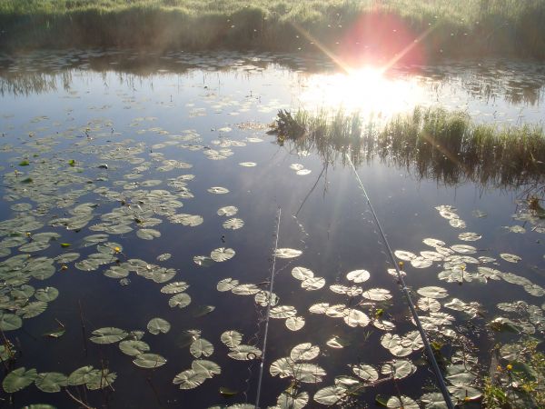 Swit nad rzeka Loknica