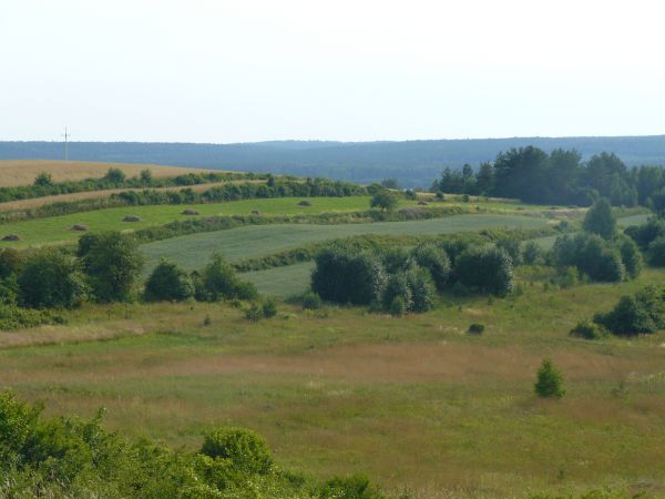 Widok na zróznicowaną rzeźbę terenu ze szlaku pieszo-rowerowego dookoła Mielnika