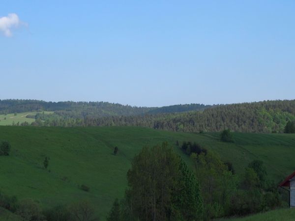 pasmo Markowskiej - hen pod lasem - na odkrytym zboczu : droga - z galerii.
