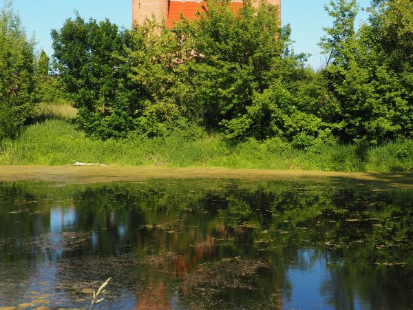 przepiękny, mocarny XVI - wieczny kościół obronny, ze strzelistymi wieżami.