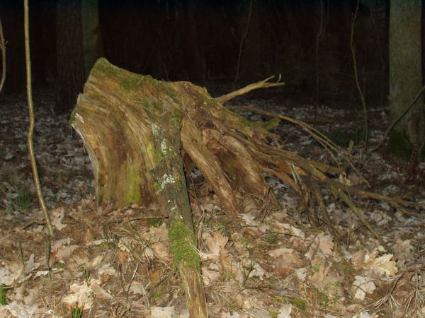 Tyle po nas pozostaje.