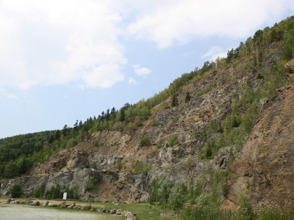 przeciętnie w tonie skały znajduje się ok. 10 /dziesięć/ gramów kruszcu - złota,  są tu ponadto minerały : chalkopiryt, sfaleryt, markasyt oraz piękne kwarce. Z