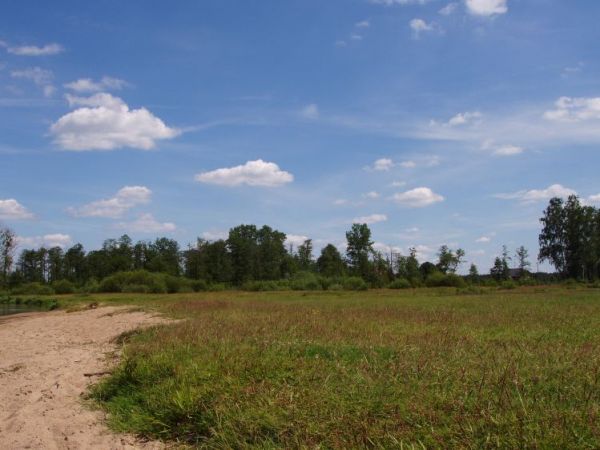 zdjecie Ulaski Stamirowskie